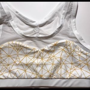 Cleo Harper sports bra